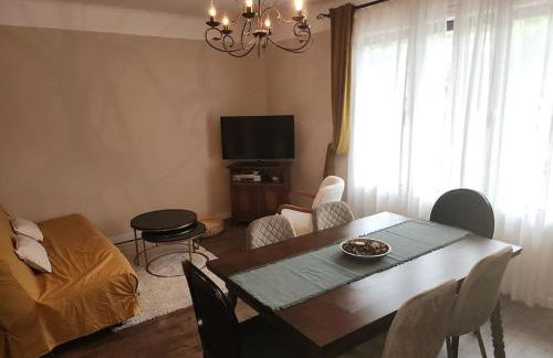 Résidence Centrale Appartement 3 pièces Garage et jardin - Foto 11