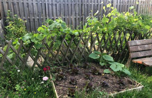 Maison du Grand Pin - Foto 40