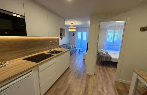 Apartamentos Leyre Candanchú - Foto 51