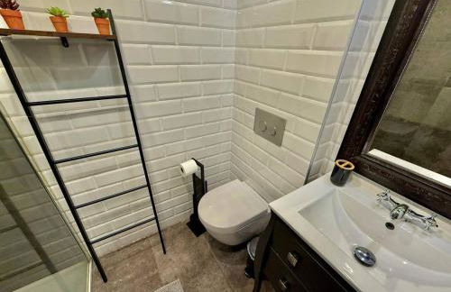 Amuma Justina Etxea , Apartamento en casco antiguo - Foto 29