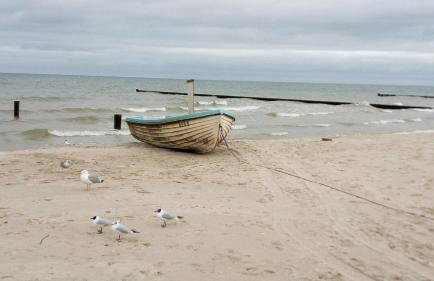 moderne 3-Raum Ferienwohnung Strandmöwe mit Panoramafenster - Foto 8