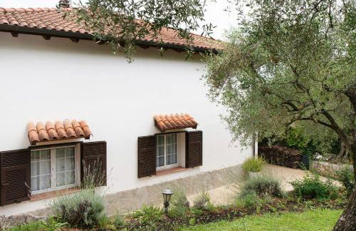 Salice Felice - Foto 26