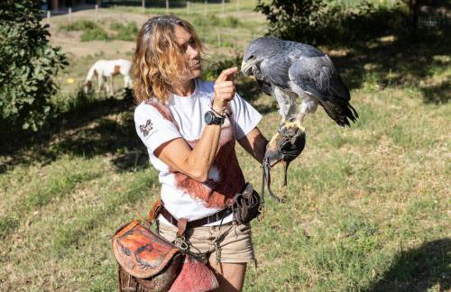 L'Aquila e L'Ulivo - Foto 1