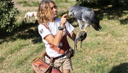 L'Aquila e L'Ulivo - Foto 1