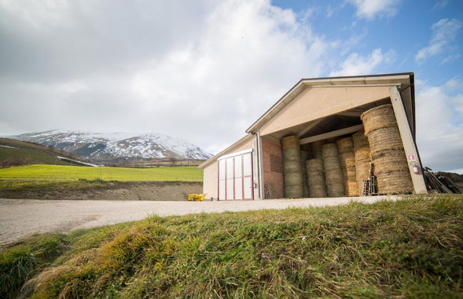 La Fattoria dei Sibillini - Foto 34