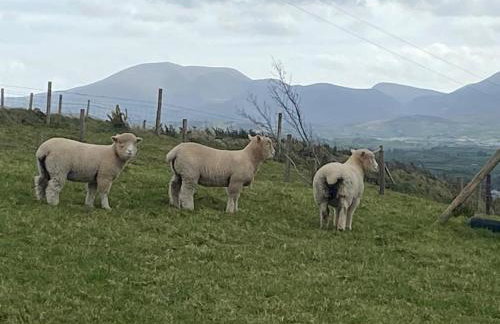 Hillhead Country Retreat - Photo 24