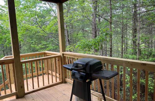 Endless Views Cabin - Foto 7