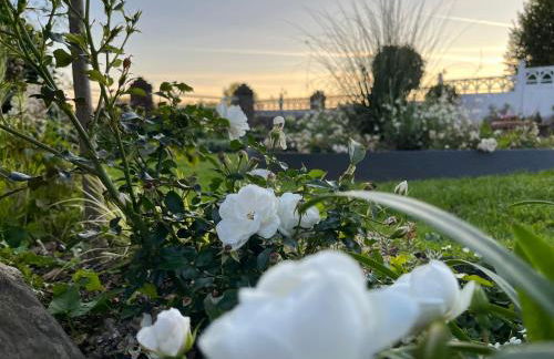 Le petit paradis - Foto 47