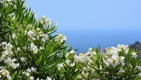 Villa La Lomilla - Photo 5