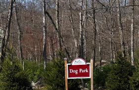 Cozy Cabin at Poconos With Hot Tub and Fire Pit - Foto 33