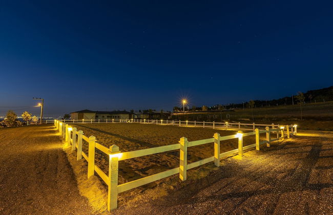 Aronia Bungalow - Photo 53