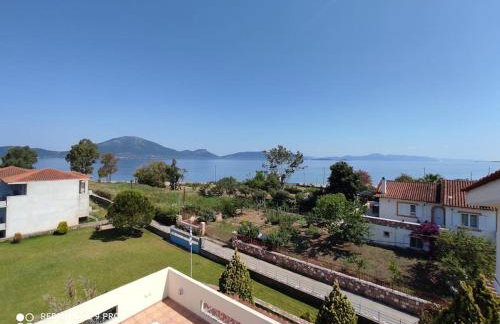 Agiokampos Luxurious Resort - Foto 28