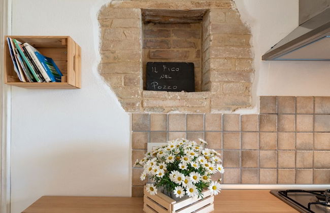 Il Fico nel Pozzo in Fossacesia - Foto 24