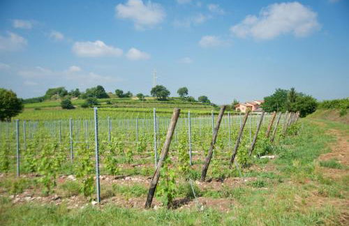 Agriturismo Albarello - Foto 55