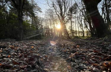 Lovely Carlung House - Foto 79