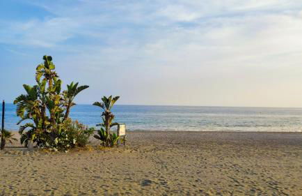 Laguna Beach Esperanto - Alojamientos La Torre - Photo 26