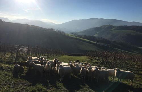 ARBELA Apartamentuak - Foto 5