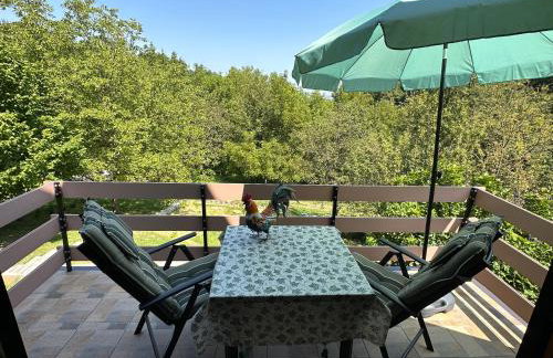 Forest paradise - Photo 19