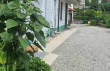 Da Ersilia - Foto 13