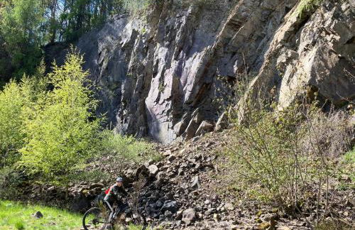 Luxe, landelijke vakantiewoning der alte Birnenbaum Duitsland-Sankt Wendel - Foto 58
