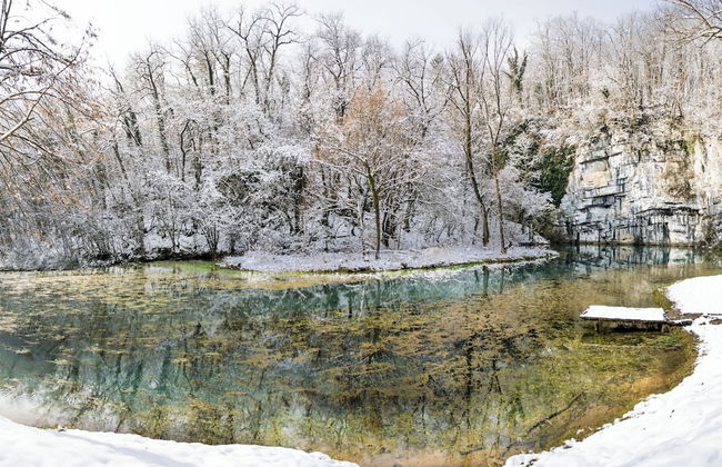 Forge Of Happiness - Foto 51