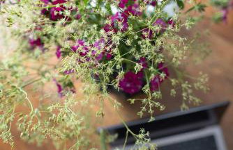 Premium 2-Level apartment on Rhine, Great Location - Foto 80