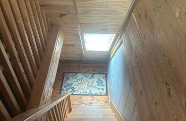 Bearly Behavin - Foto 23