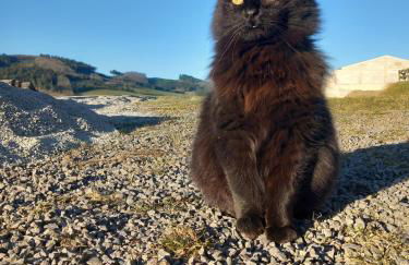 Ferienhof Rüßmann - Foto 45