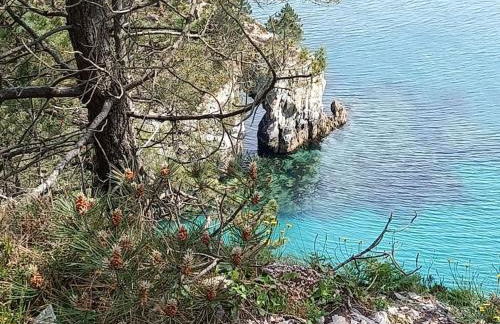 Maison de vacances Ty Zoizos à 250 m de la plage - Foto 53