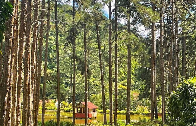 Hotel Fazenda Rancho Mineiro - Foto 30