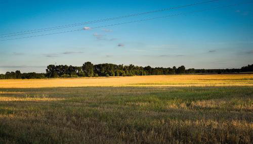 Grand House 47 - Foto 4