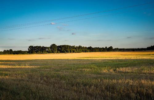 Grand House 47 - Foto 4