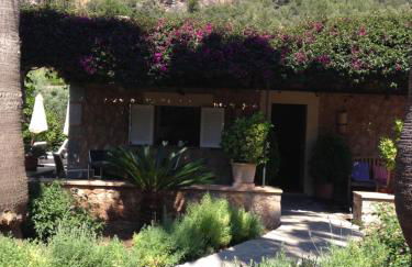 Ses llimoneres - Foto 27