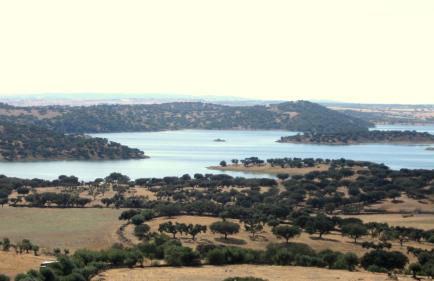 Casa da Comadre - Casas de Taipa - Foto 35