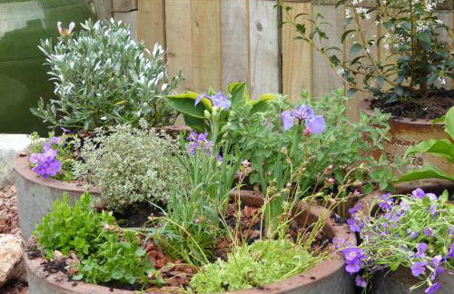 Stable Cottage - Foto 14