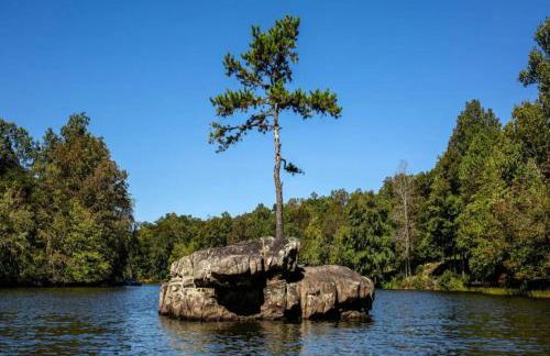 River Cabin - Fire Pit, Kayaks, Games, Dog Park - Foto 10