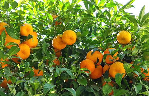 Stunning unobstructed 180 degree sea view apartment with 100 square meters terrace - Costa del Sol - Estepona- Long Term - Photo 38