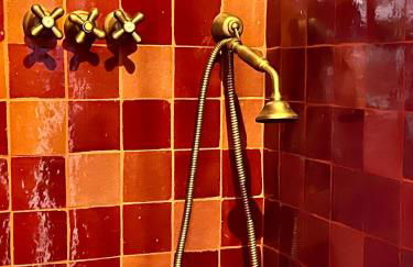 La Consulta - Foto 59