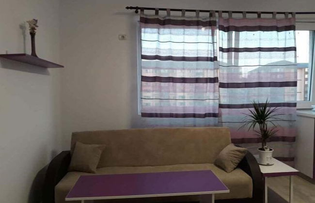 Impeccable 1-bed Studio in Roșu - Foto 13