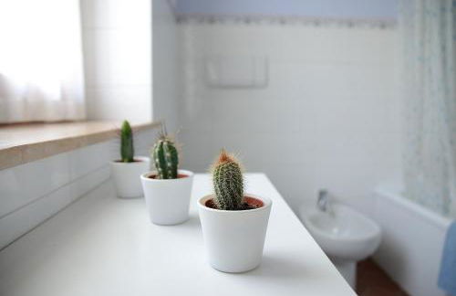 Casa vacanze Dos de Loré - Relax a due passi da Tovel - Foto 15