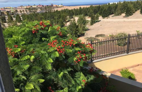 Vivienda Las Velas - Foto 7