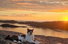 Oldshoremore Croft Cabins - Foto 43