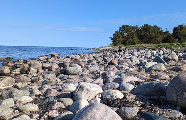 5 Person Holiday Home in Haltorp - Foto 32