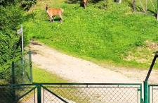 Apartament u Joli - Foto 17