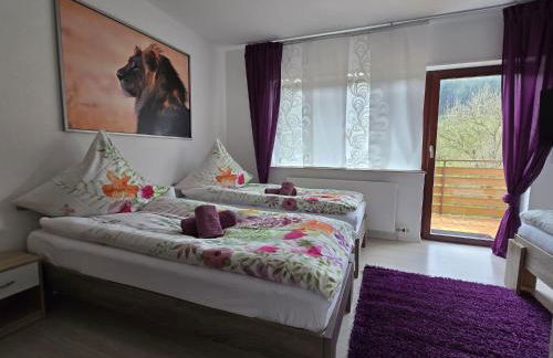 La Casa Suciu - Foto 35