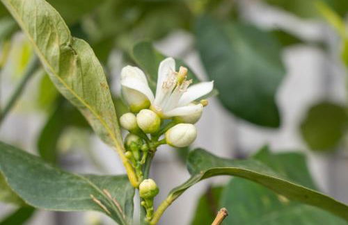 Agriturismo Pozzo Fiorito - Foto 29