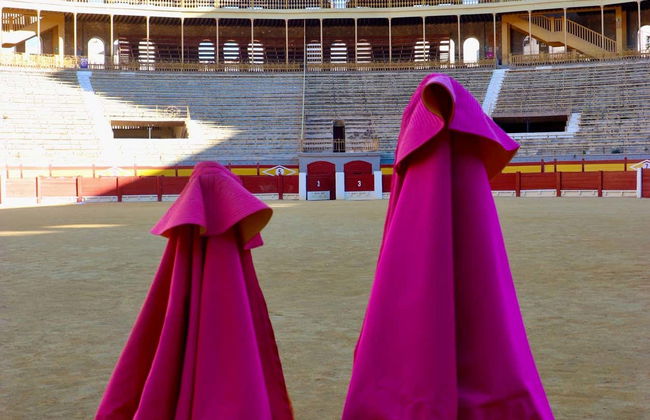 Visite de la Plaza de Toros, les arènes d'Alicante - Photo 6