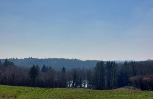 "Le petit bonheur" Gîte van 4 tot 12 personen met privé vijver van 2Ha - Foto 18