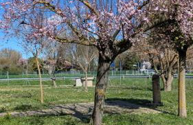 La Coccinella studio apartment, relaxation near Ravenna - Foto 38