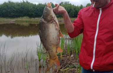 Dom wczasowy , nad jeziorem z możliwością wędkowania do 7 osób - Foto 19